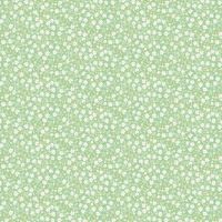 dsStella-D3759 JADE